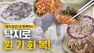 면역력 약해지는 10월, 가을에 가장 강해지는 낙지로 원기회복! Feat. 팔도밥상 | KBS 방송