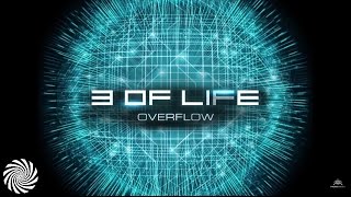 3 Of Life - Overflow