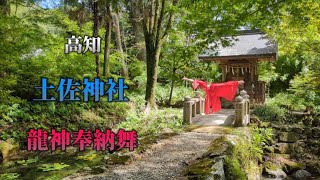 土佐國一之宮【土佐神社】 二之宮【小村神社】 奉納舞〜皆様に龍神の御加護がありますように〜