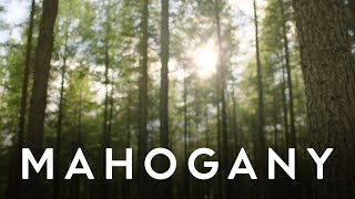 Josh Garrels - Born Again | Mahogany