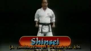 Shinsei Shito ryu kata