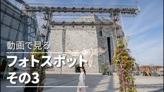 おすすめフォトスポット＆撮り方《武蔵野坐令和神社・大鳥居》 /  Musashino Reiwa Shrine  photospot \