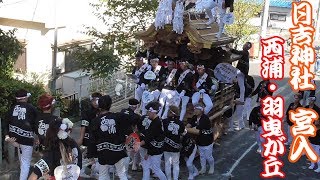 日吉神社祭礼 宮入 西浦・羽曳が丘だんじり祭り 【大阪府羽曳野市】 2017年10月8日(日)