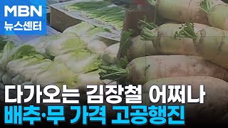 김장철 다가오는데 어쩌나…폭염·폭우에 배추·무 가격 고공행진 [MBN 뉴스센터]