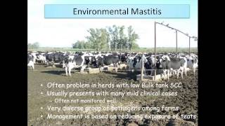 Hoard's September 9: New concepts in mastitis control