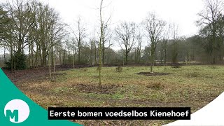 Eerste schop in de grond voor aanleg voedselbos in Streekpark Kienehoef I Omroep Meierij