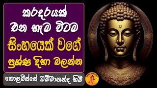 කරදරයක් එන හැම විටම සිංහයෙක් වගේ ප්‍රශ්ණ දිහා බලන්න | KOLABISSE DAMMANANDA | WASSANA DESANA BANA