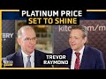 Why electric vehicles are not yet a worry for the platinum metals sector - WPIC's Trevor Raymond