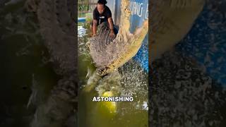 The Most Astonishing Animal Moments Caught On Camera