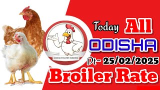 #TodayBroilerRate || #TodayChaickenRate || #ChickenRate || Dt- 25/02/2025