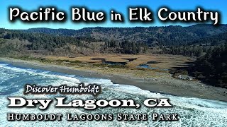 Discover Humboldt: Pacific Blue in Elk Country | Dry Lagoon, California