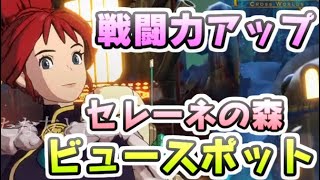 ニノクロ ビュースポットの場所セレーネの森全カ所！戦闘力アップに必ず見つけよう！　レイ太　二ノ国クロスワールド