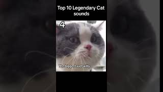 Top 10 legendary cat sounds 😂😂 #Shorts #viralshorts #cat