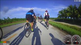 Muppets Loose Handlebars