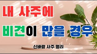 사주에 비견이 많을 경우, 직업 성향