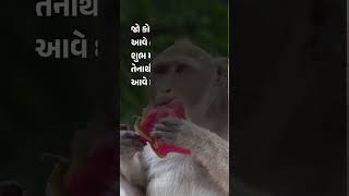 આ ત્રણ જીવ ક્યારે ઘરે થી ભૂખ્યા નો જવા જોઈએ