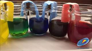 Walking water | Simple Demonstration of capillarity | Physics For Kids