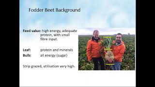 AHDB Beef and Lamb & Dairy: Fodder Beet for Sheep