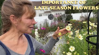 Late Season Garden Tour - What's Growing In Our Garden in October