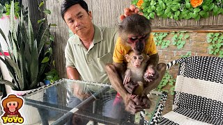 Monkey YoYo Jr get angry when a stranger take his baby monkey