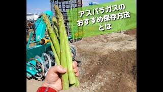 アスパラガスのおすすめ保存方法とは・鮮度保持【中富良野町・寺坂農園・産地直送・冷蔵庫】