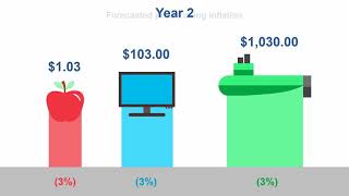 Real Price Change: Understanding Inflation and Escalation - Video 4