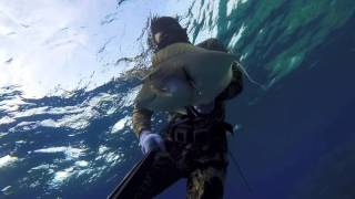 Spearfishing Fiji