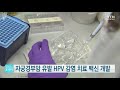 자궁경부암 유발 hpv 감염 치료 백신 개발 ytn 사이언스