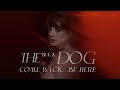 The Black Dog X Come Back...Be Here Mashup