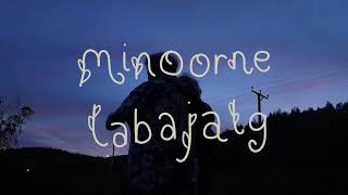 Minoorne Labajalg (Music Video)