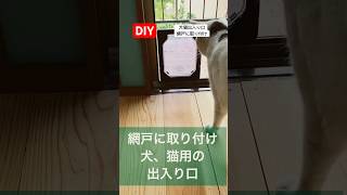 diy犬猫用の出入り口／網戸にそのまま取り付け猫のいる暮らし#diy#犬猫 #猫のいる暮らし