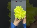 easy crepe paper flower pom pom flower