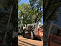 Removing a big oak tree with a crane