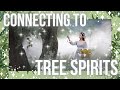 Tree Spirits║How to Connect