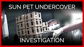 Sun Pet Undercover Investigation