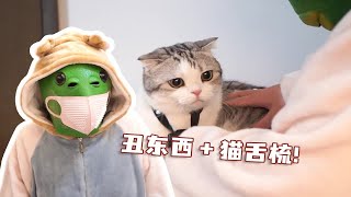 丑东西套上猫舌梳，猫咪会有什么样的反应