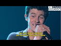 Shawn Mendes - Roses (Tradução)