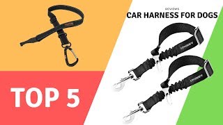 Best Car Harness For Dogs Reviews 2020 (Top5)