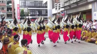 吹鼓連  2016小岩阿波おどり  駅前西会場