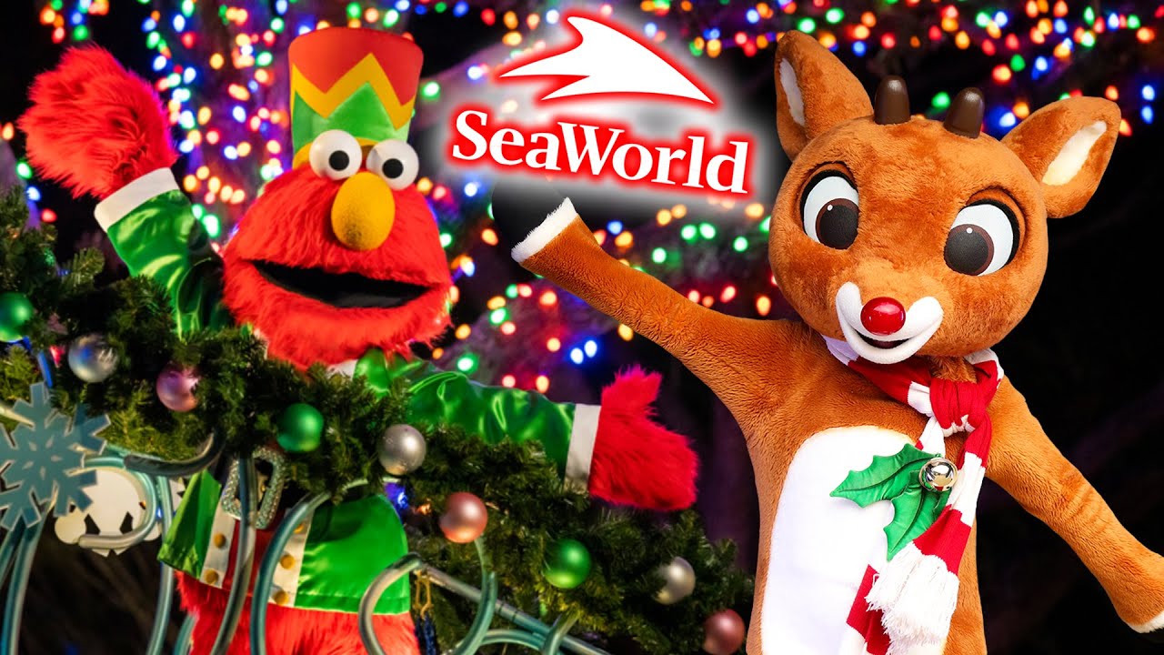 SeaWorld Orlando CHRISTMAS 2022 | IS IT WORTH VISITING?! - YouTube