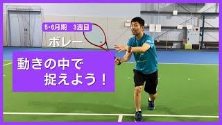 テニスアリーナガーデン松山　5･6月期　3週目　「ボレー　動きの中で捉えよう！」