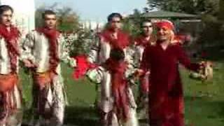 Excellent Kurdish Dance 5