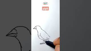 Menggambar Burung Pipit - Emprit #shorts