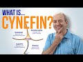 What is Cynefin? What is the Cynefin Framework?