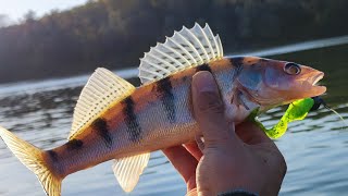 Dzigovanje × U akciji na smudja kamenjara..#fishing #sava EP16