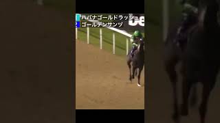 競馬の豆知識　競馬って2頭でもやるんかい！ #shorts #競馬  #豆知識