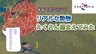 【クラフトピア】#4　動物をたくさん捕獲したった！まんまポケ〇ンだった　【実況】