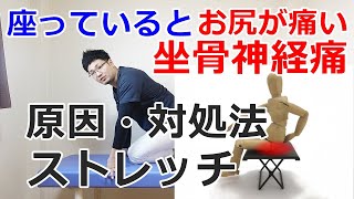 座っているとお尻が痛い・坐骨神経痛の原因と対処法・ストレッチ