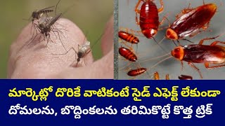 దోమలు బొద్దింకలు పోవాలంటే ఏం చేయాలి | What to do to get rid of mosquitoes and cockroaches in telugu