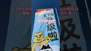 【#麻蛋和丑丑】大学生上门喂猫?最后差点猫没了!#猫粮#阿飞和巴弟 #理想工厂 #猫咪的迷惑行为